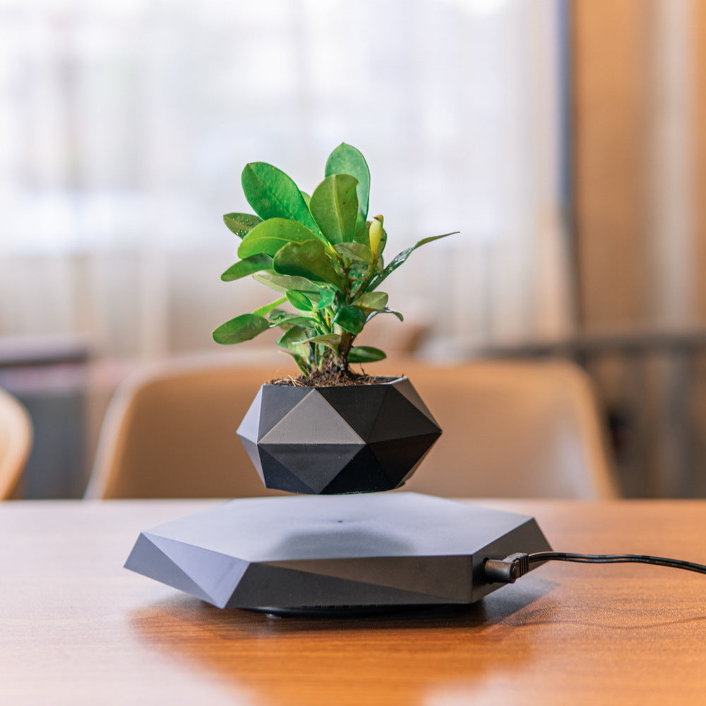 TRENDING - Floating Magnetic Planter Pot