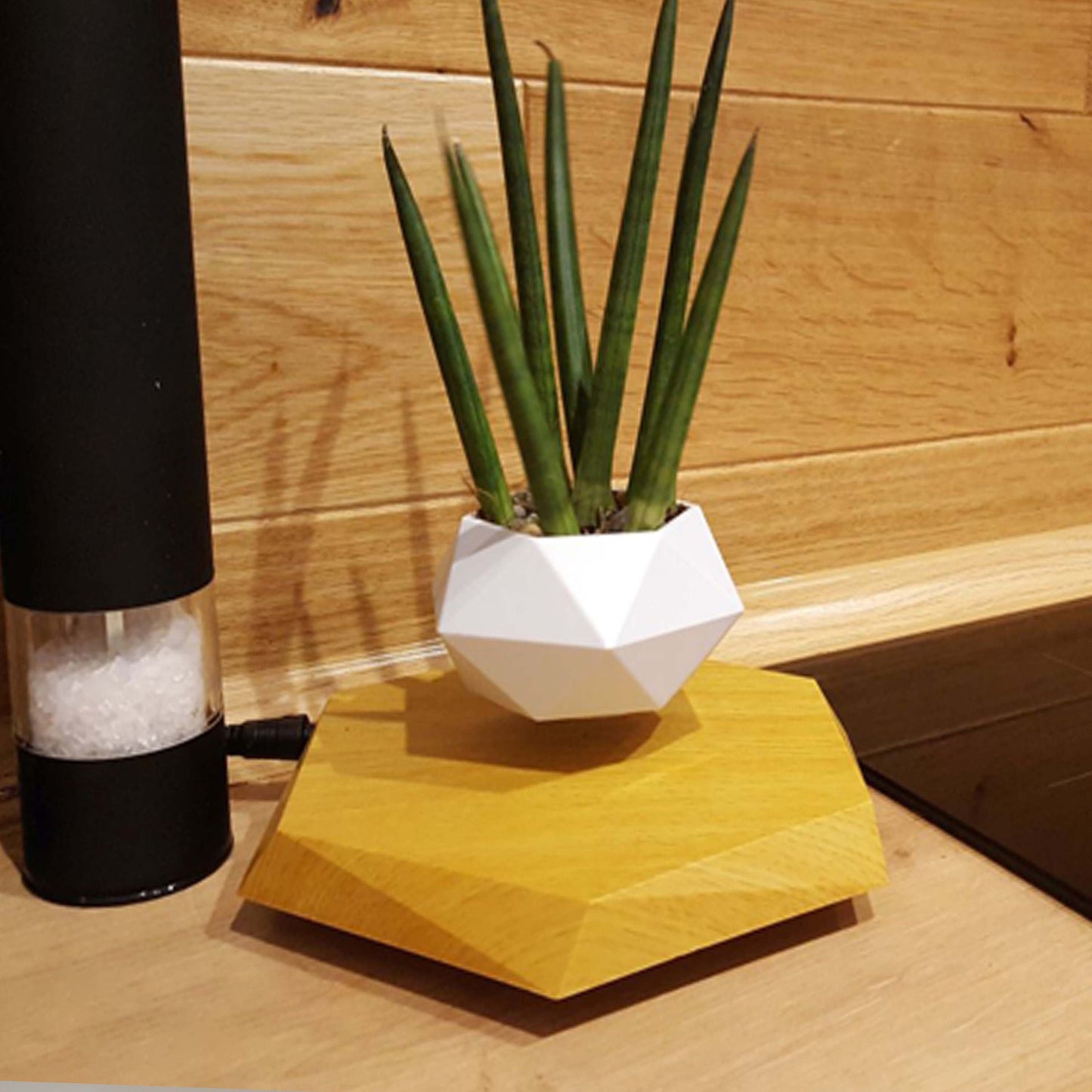 TRENDING - Floating Magnetic Planter Pot