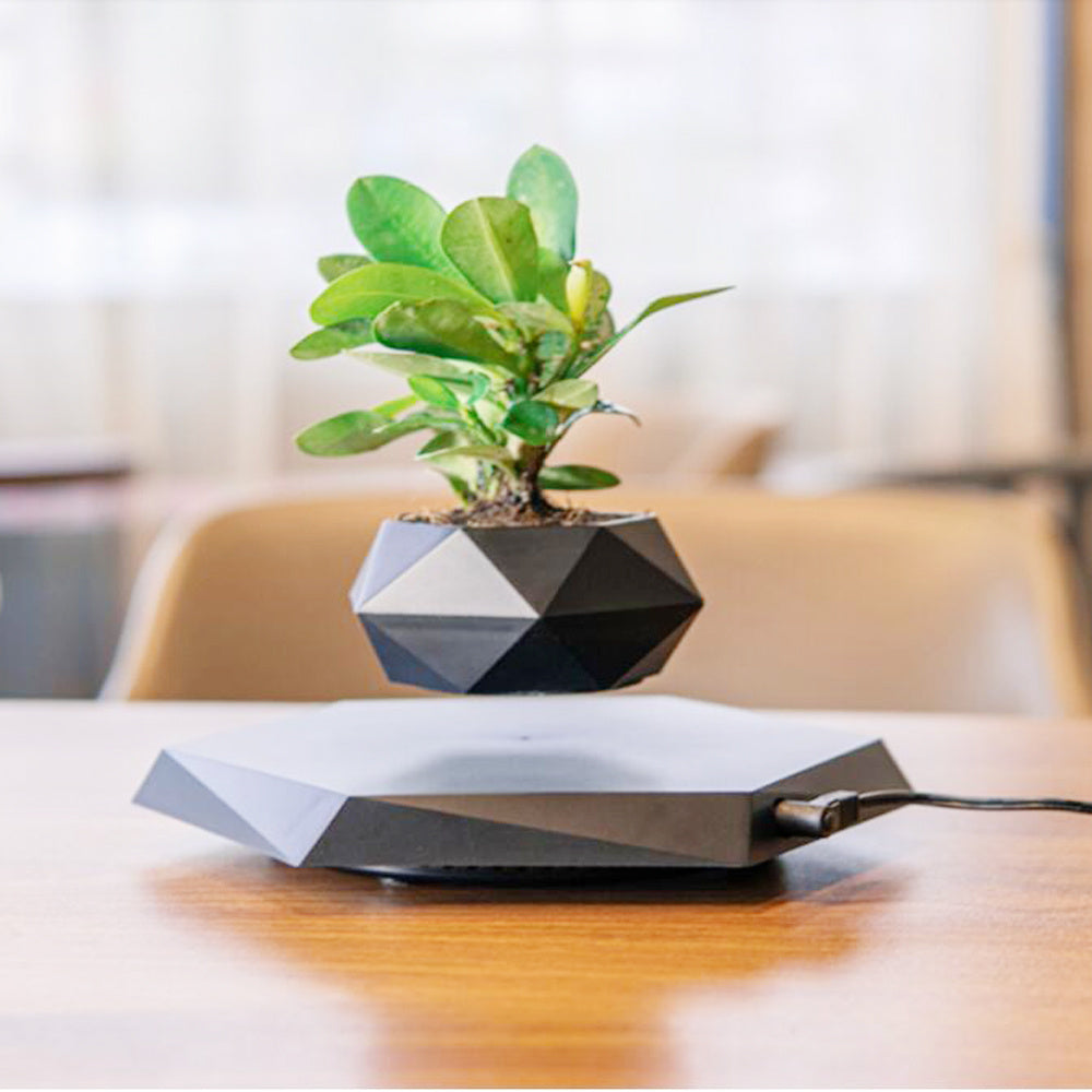 TRENDING - Floating Magnetic Planter Pot