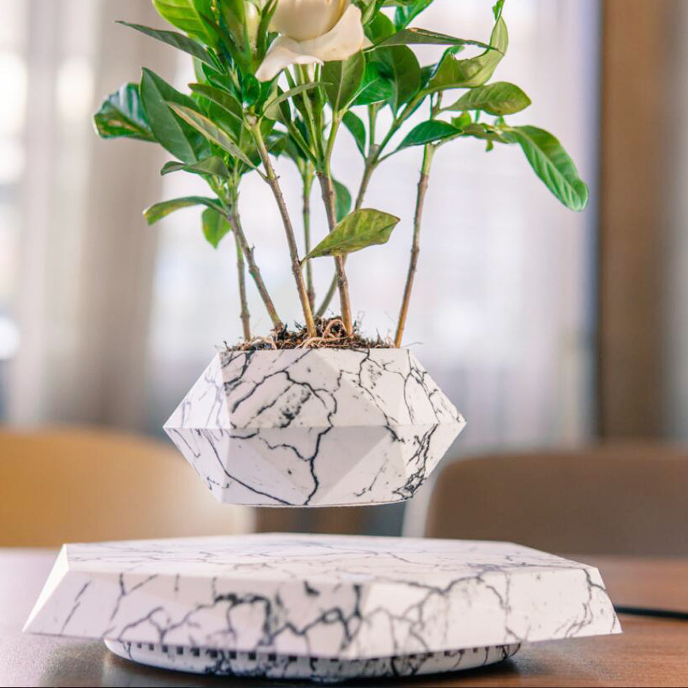 TRENDING - Floating Magnetic Planter Pot